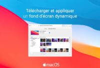 macOS: download and apply dynamic wallpaper