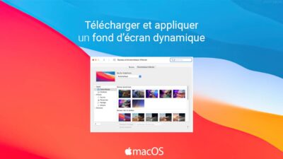 macOS: download and apply dynamic wallpaper